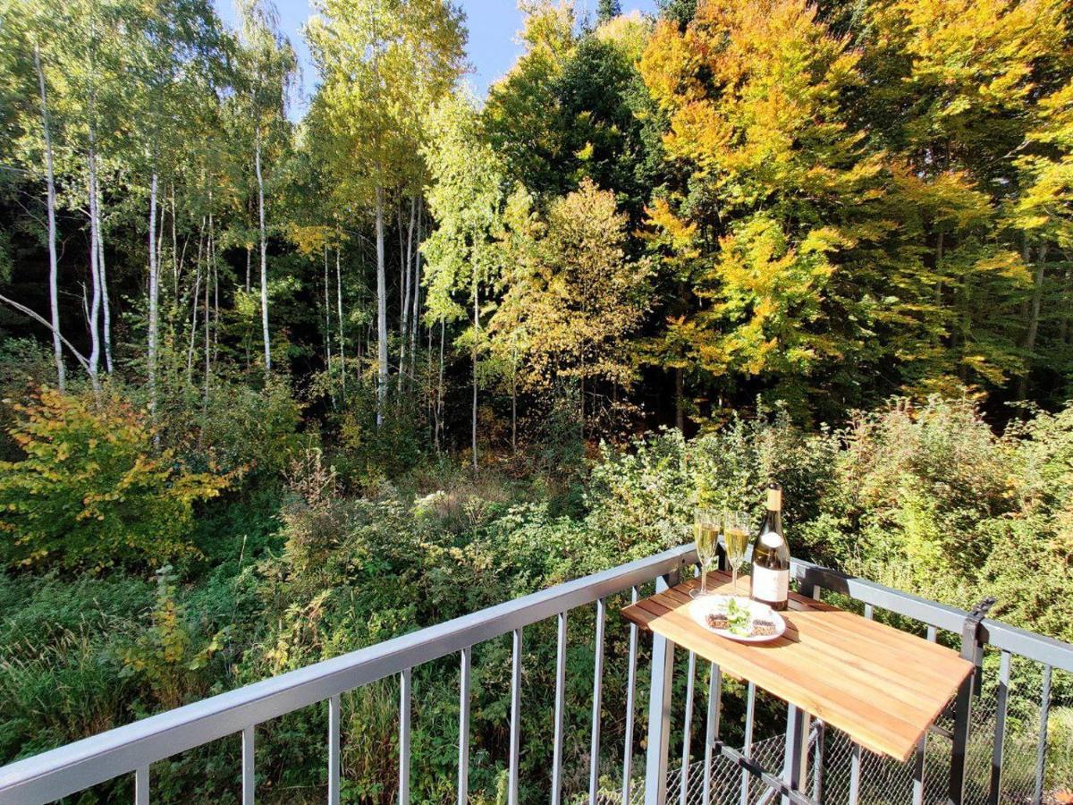 Apartment Grun Wald Mariánské Lázně Extérieur photo